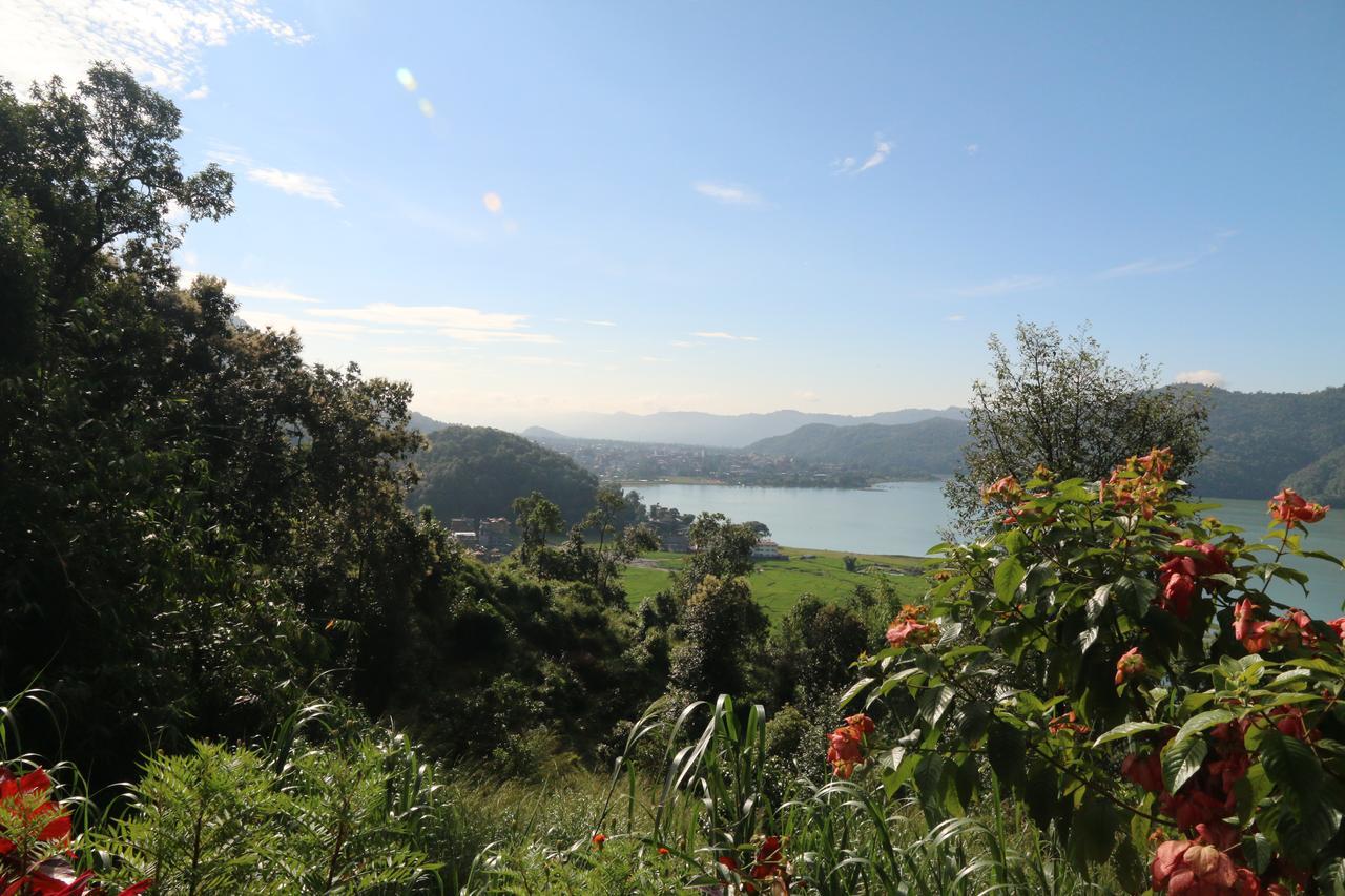 Hidden Paradise Guest House Pokhara Esterno foto