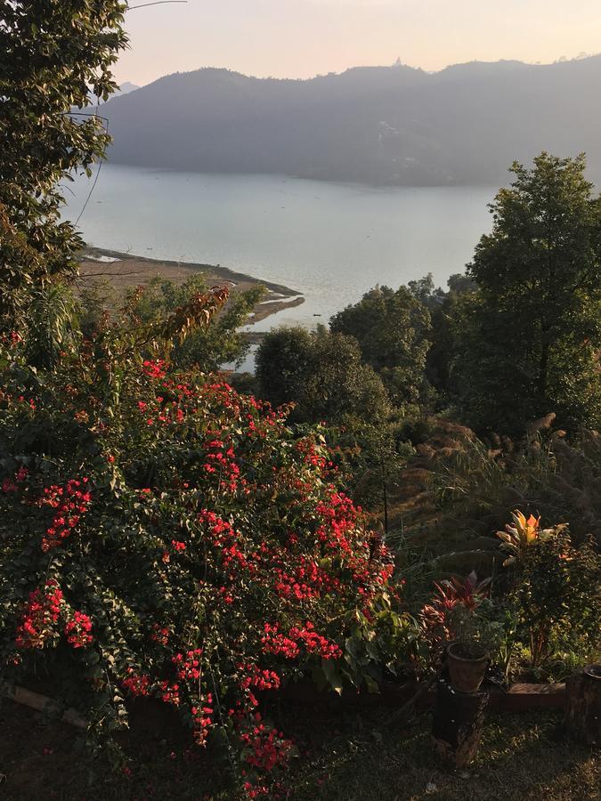Hidden Paradise Guest House Pokhara Esterno foto