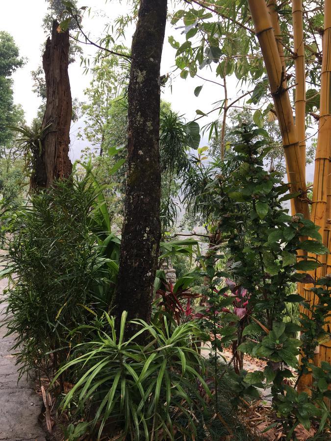 Hidden Paradise Guest House Pokhara Esterno foto