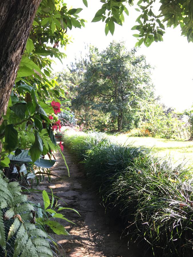 Hidden Paradise Guest House Pokhara Esterno foto