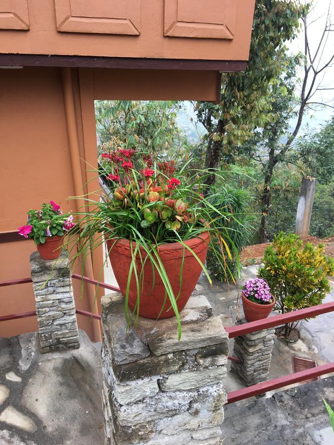 Hidden Paradise Guest House Pokhara Esterno foto