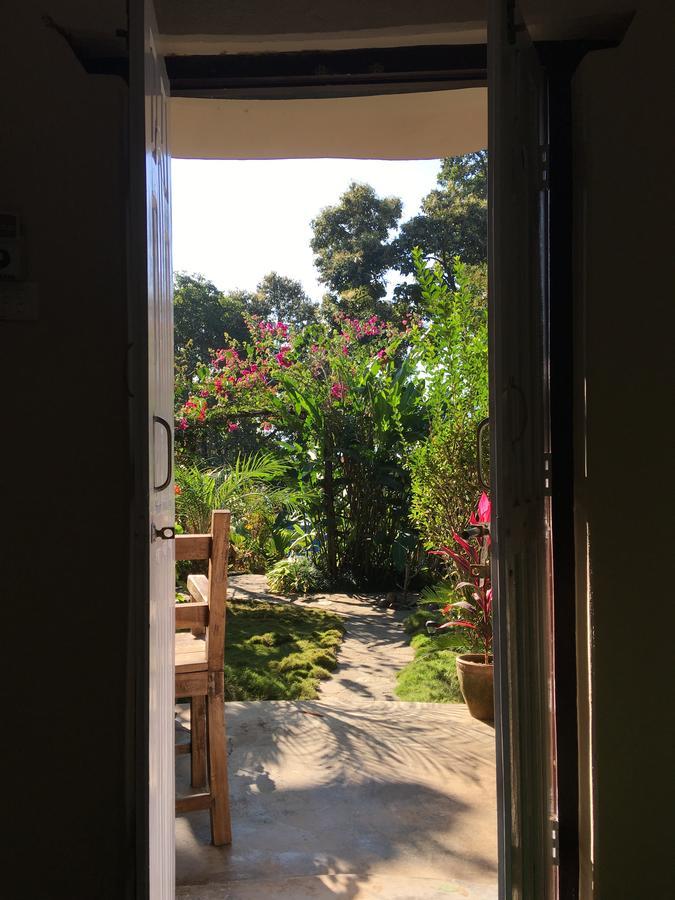 Hidden Paradise Guest House Pokhara Esterno foto