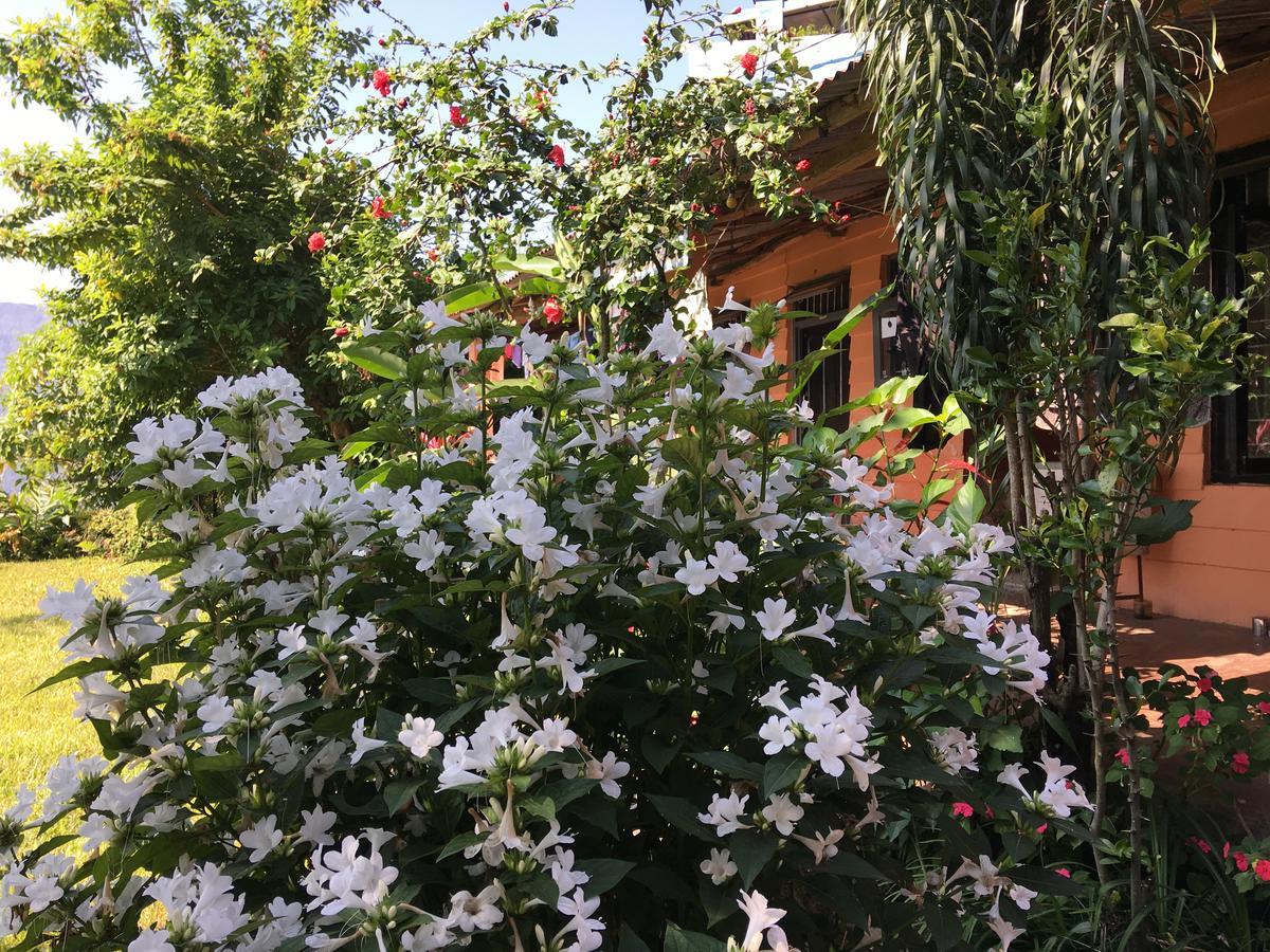 Hidden Paradise Guest House Pokhara Esterno foto