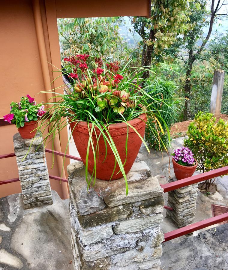 Hidden Paradise Guest House Pokhara Esterno foto